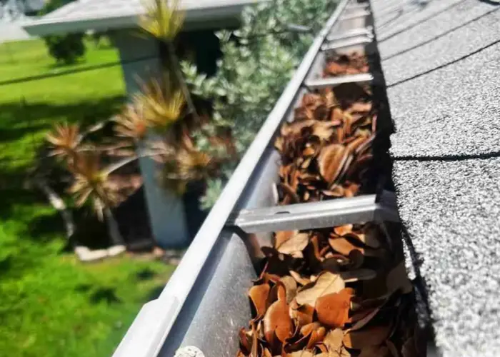 Auburn gutter cleaning home page